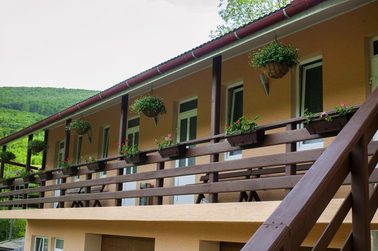Hotel U Eli Polyana  Esterno foto
